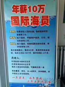 青島州海國際船舶管理 深耕國際船舶管理業務，賦能全球航運